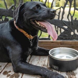 Yeti Stainless Steel 4-Cup Dog Bowl